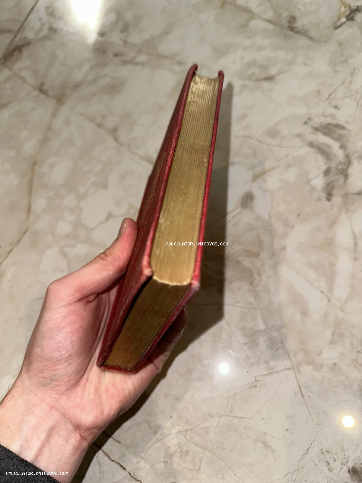 Рука держит старинную книгу в красном переплете с позолоченным обрезом страниц