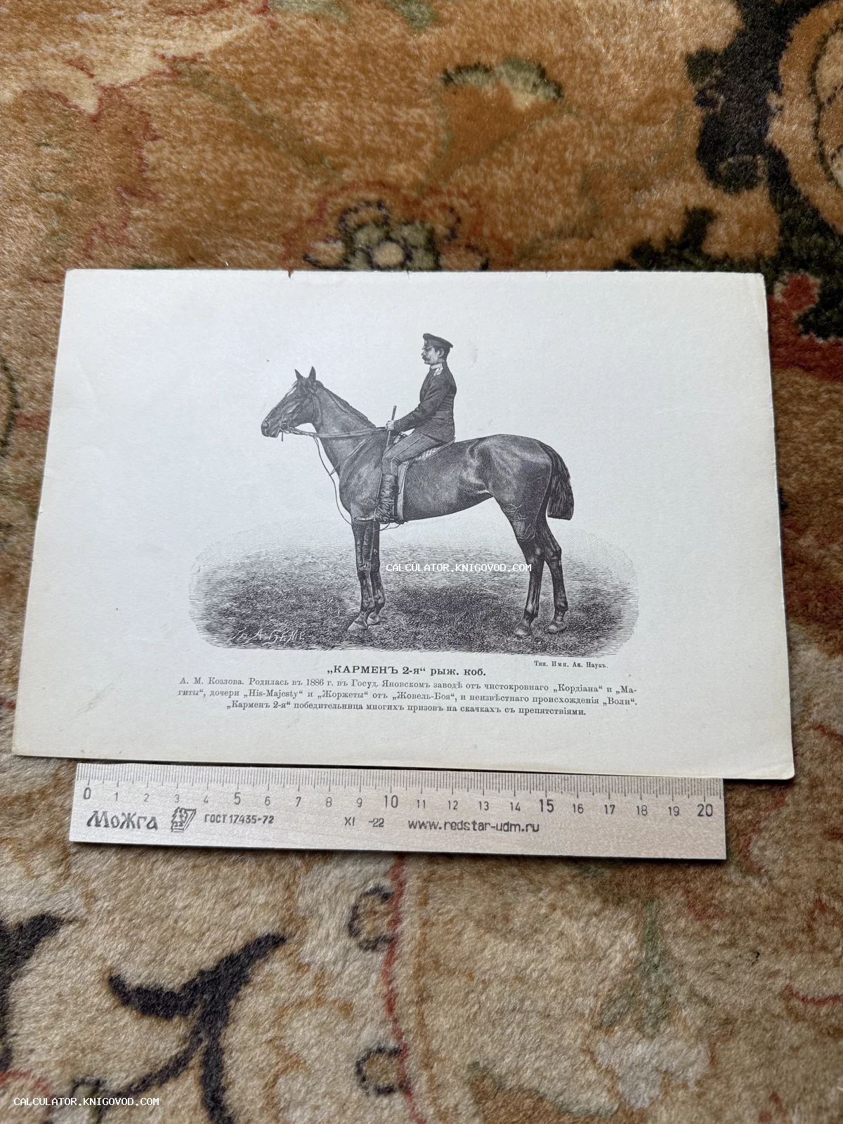 Черно-белая антикварная гравюра с изображением всадника в военной форме на лошади и подробным описанием родословной животного.