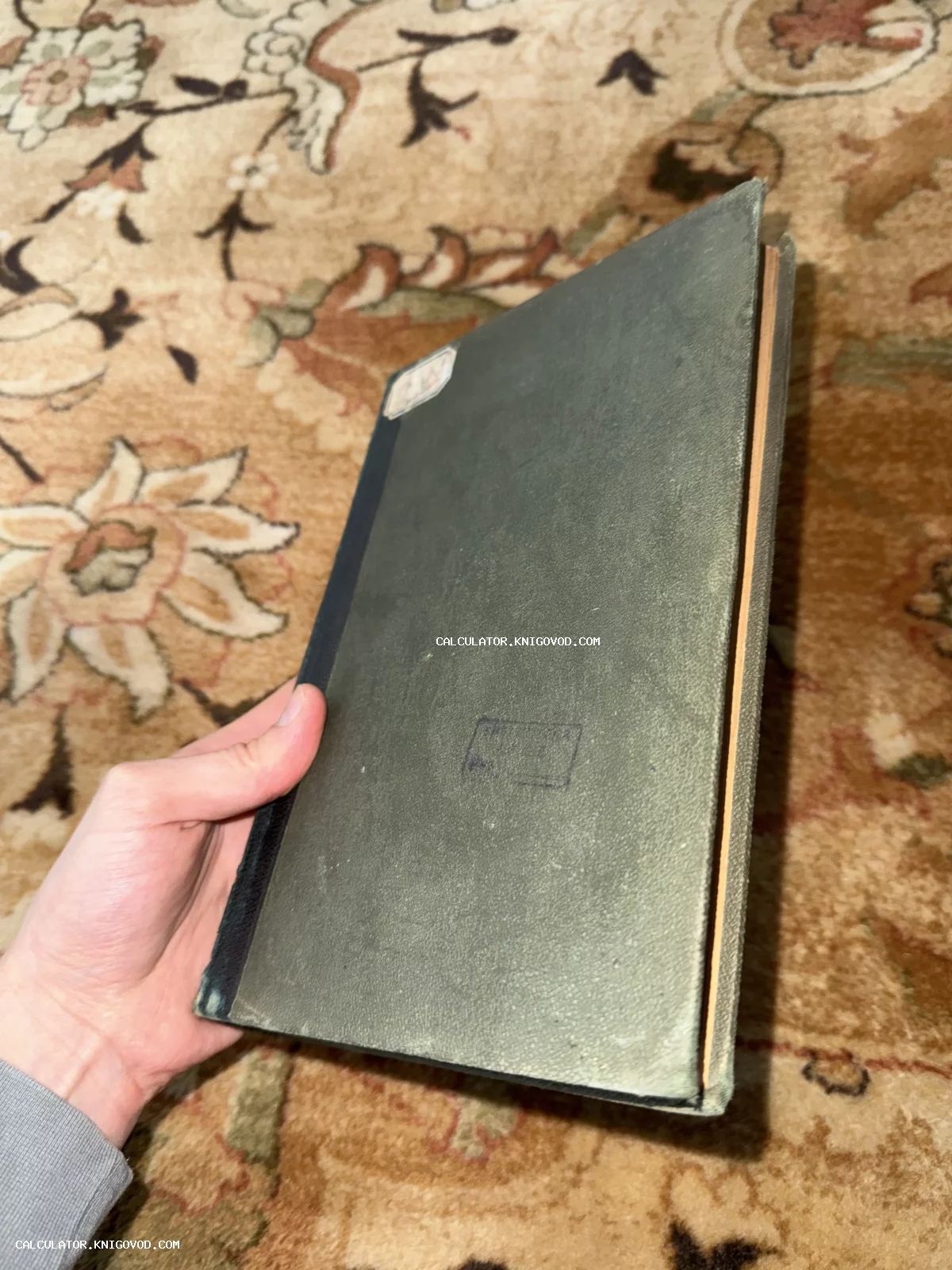 Старая книга в темно-зеленом твердом переплете со следами времени и архивным штампом, которую держат в руке на фоне ковра.