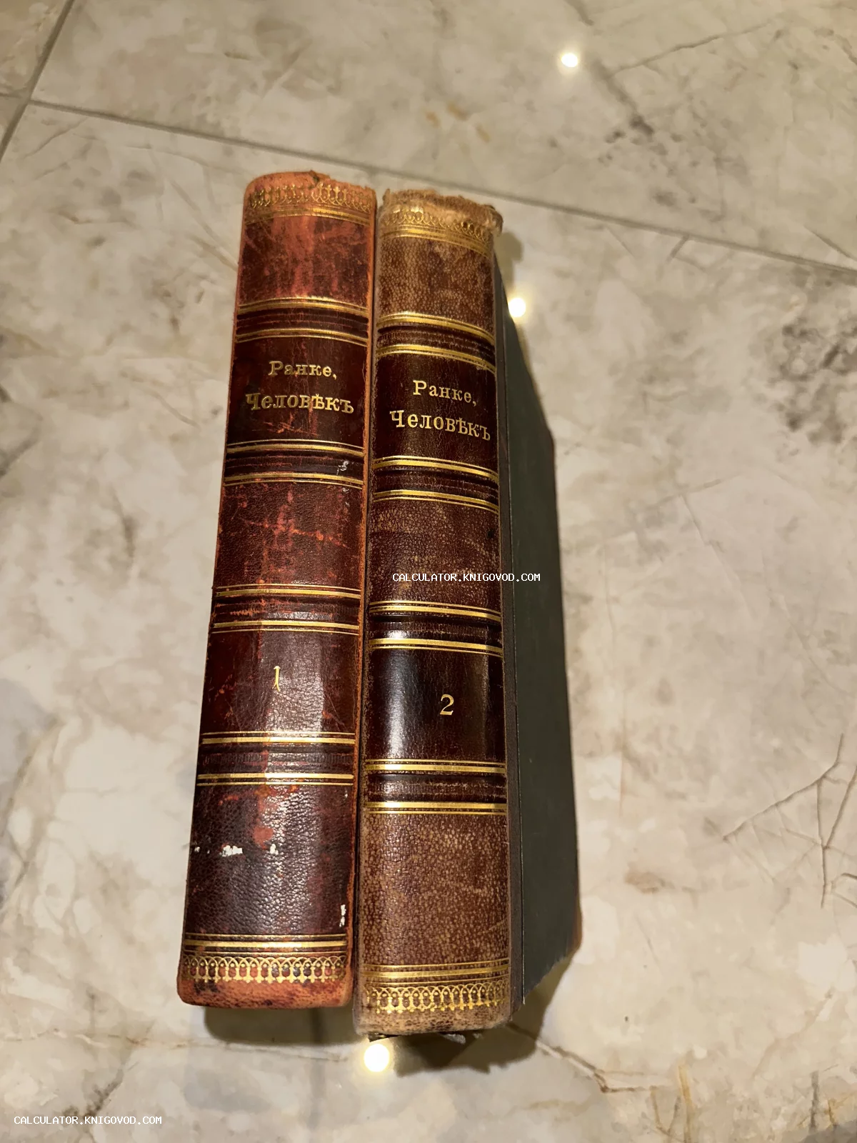 Два тома антикварной книги Иоганнеса Ранке «Человек» в полукожаных переплетах с золотым тиснением на мраморном фоне.