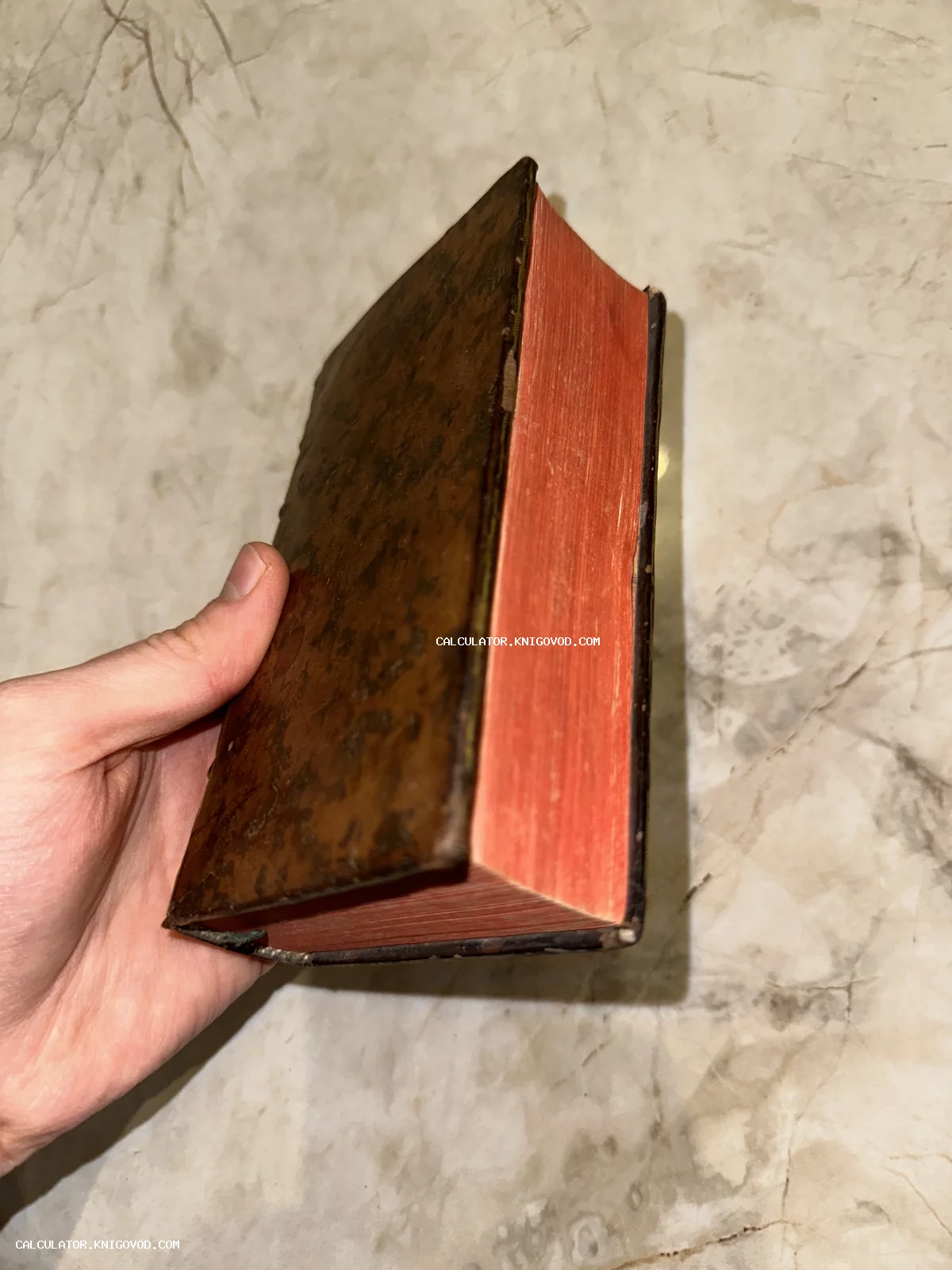 Рука держит старинную книгу в потертом коричневом переплете с окрашенным красным обрезом страниц на светлом фоне.