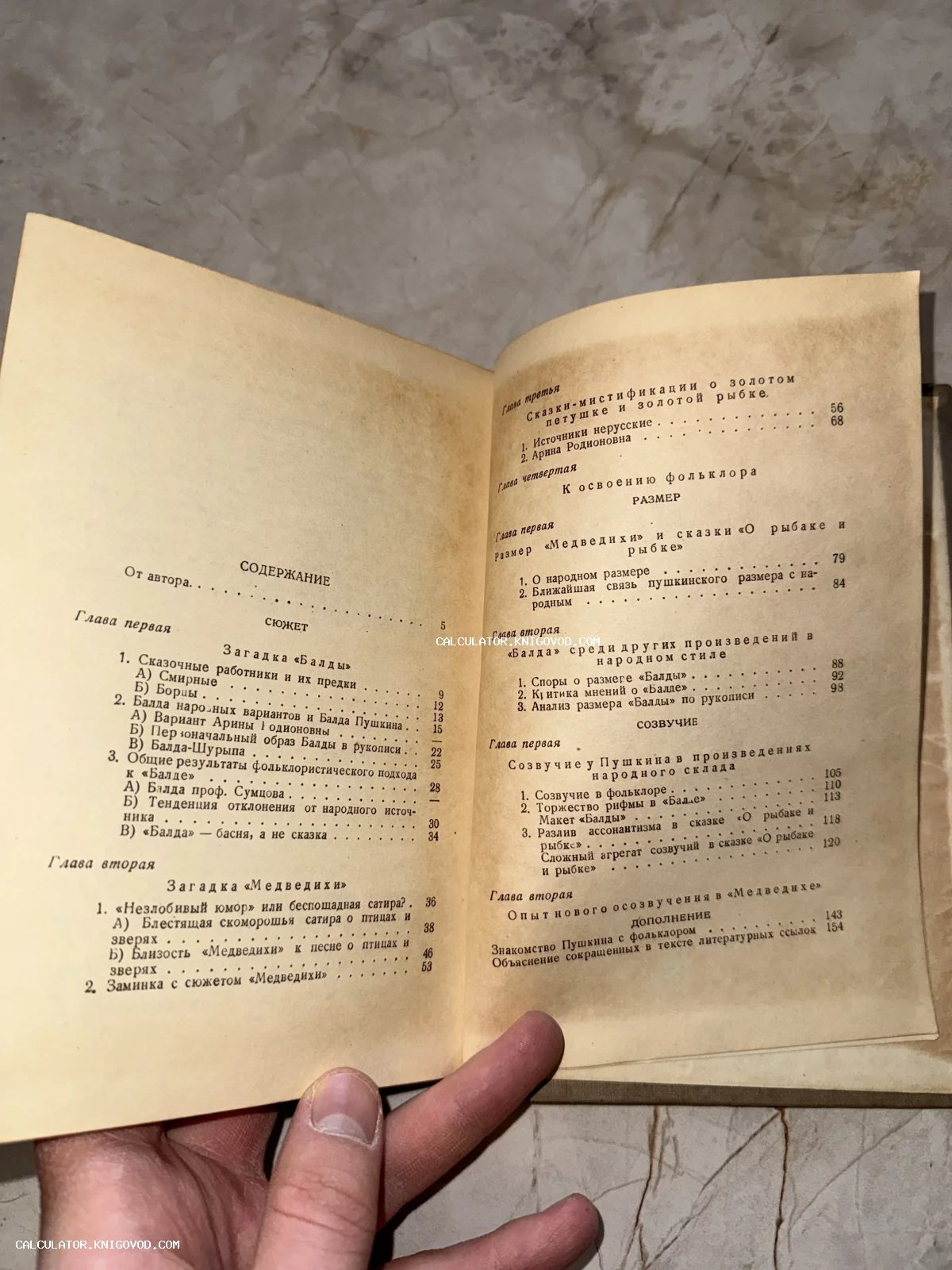 Разворот старой книги со списком глав, посвященных анализу сказок А. С. Пушкина.