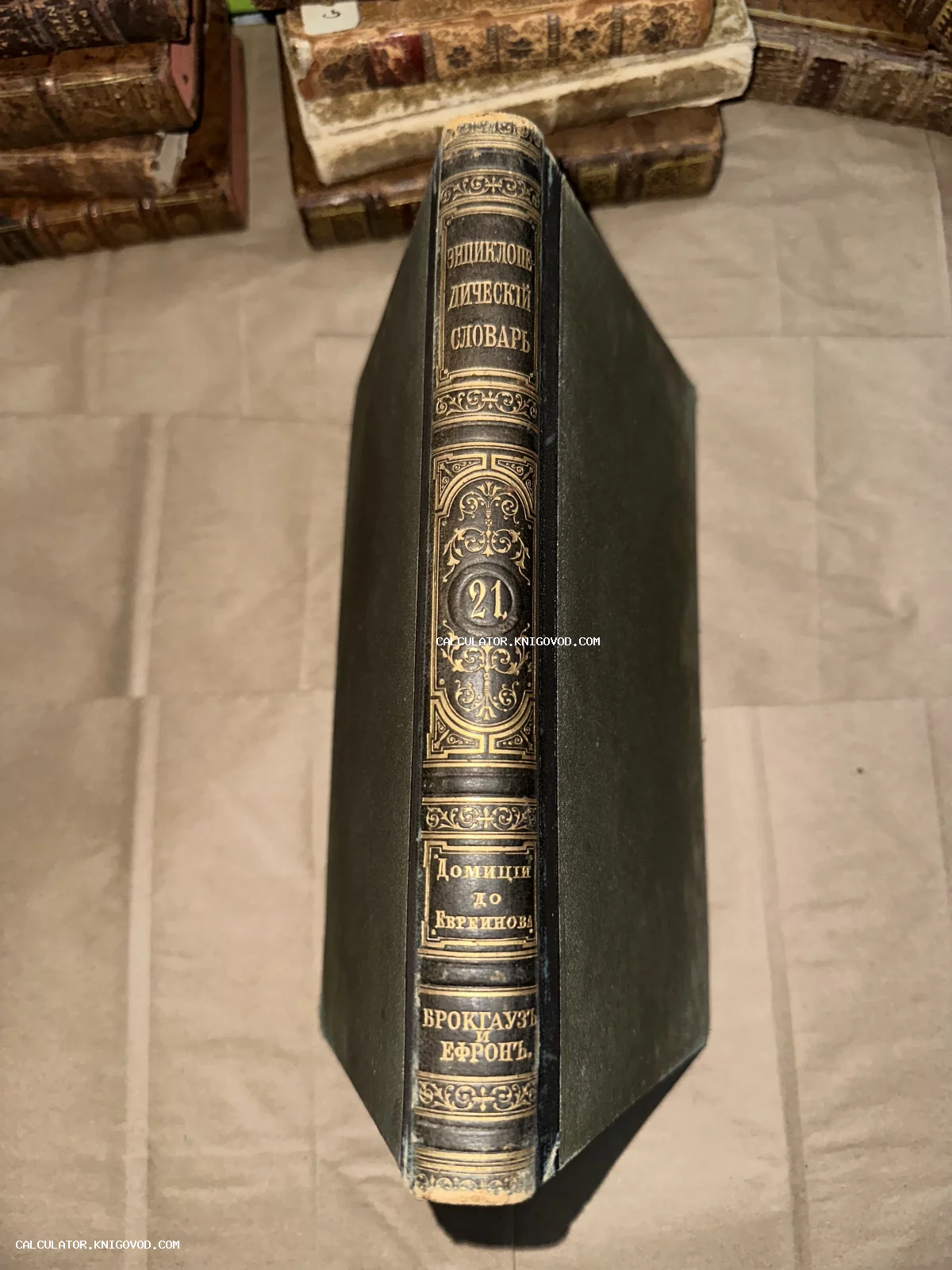 Корешок антикварной книги 'Энциклопедический словарь Брокгауза и Ефрона' с золотым тиснением и кожаной отделкой.