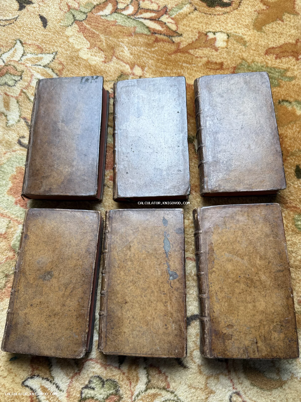 Шесть старинных книг в коричневых кожаных переплетах с патиной, разложенные в два ряда на узорчатом ковре.