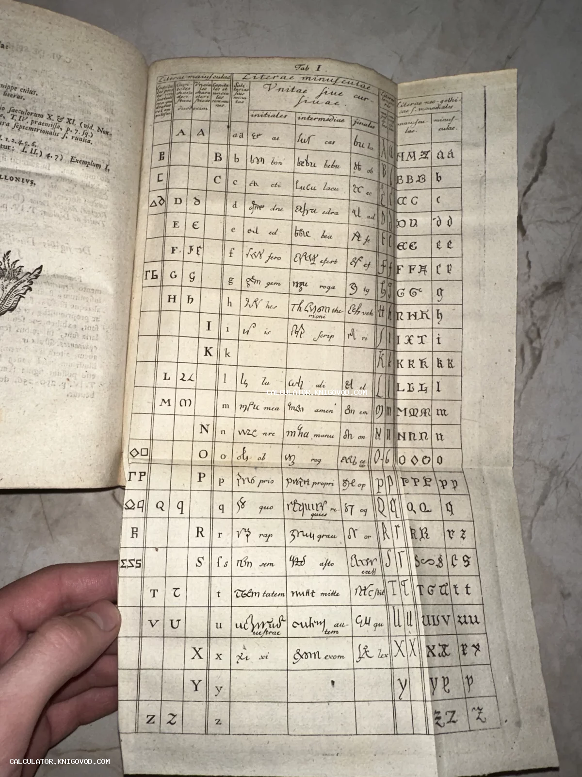 Разворот старинной книги с развернутой таблицей различных стилей написания латинских букв, включая готический шрифт и курсив.