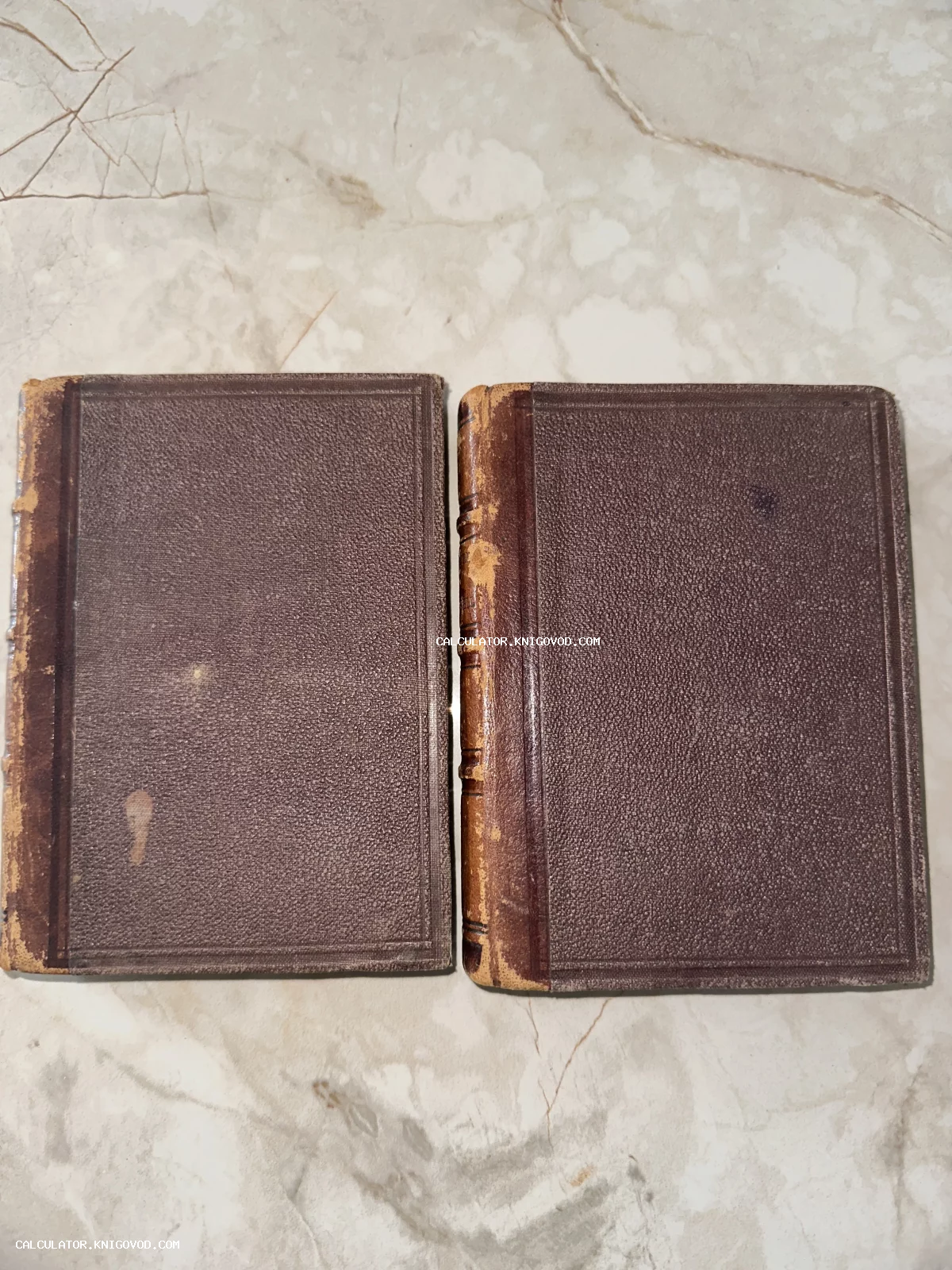 Две старые книги в коричневых кожаных переплетах с тиснением и потертостями на светлом фоне.