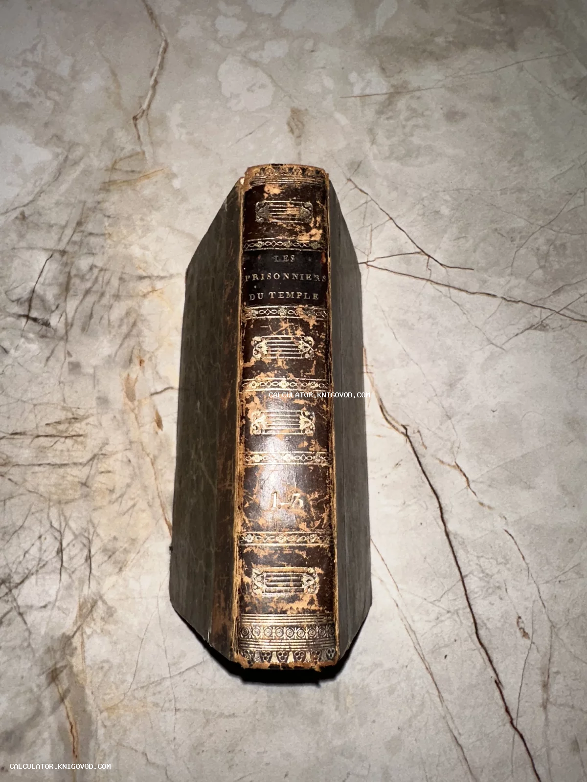Корешок старинной книги в кожаном переплете с золотым тиснением Les Prisonniers du Temple на фоне мраморной поверхности.