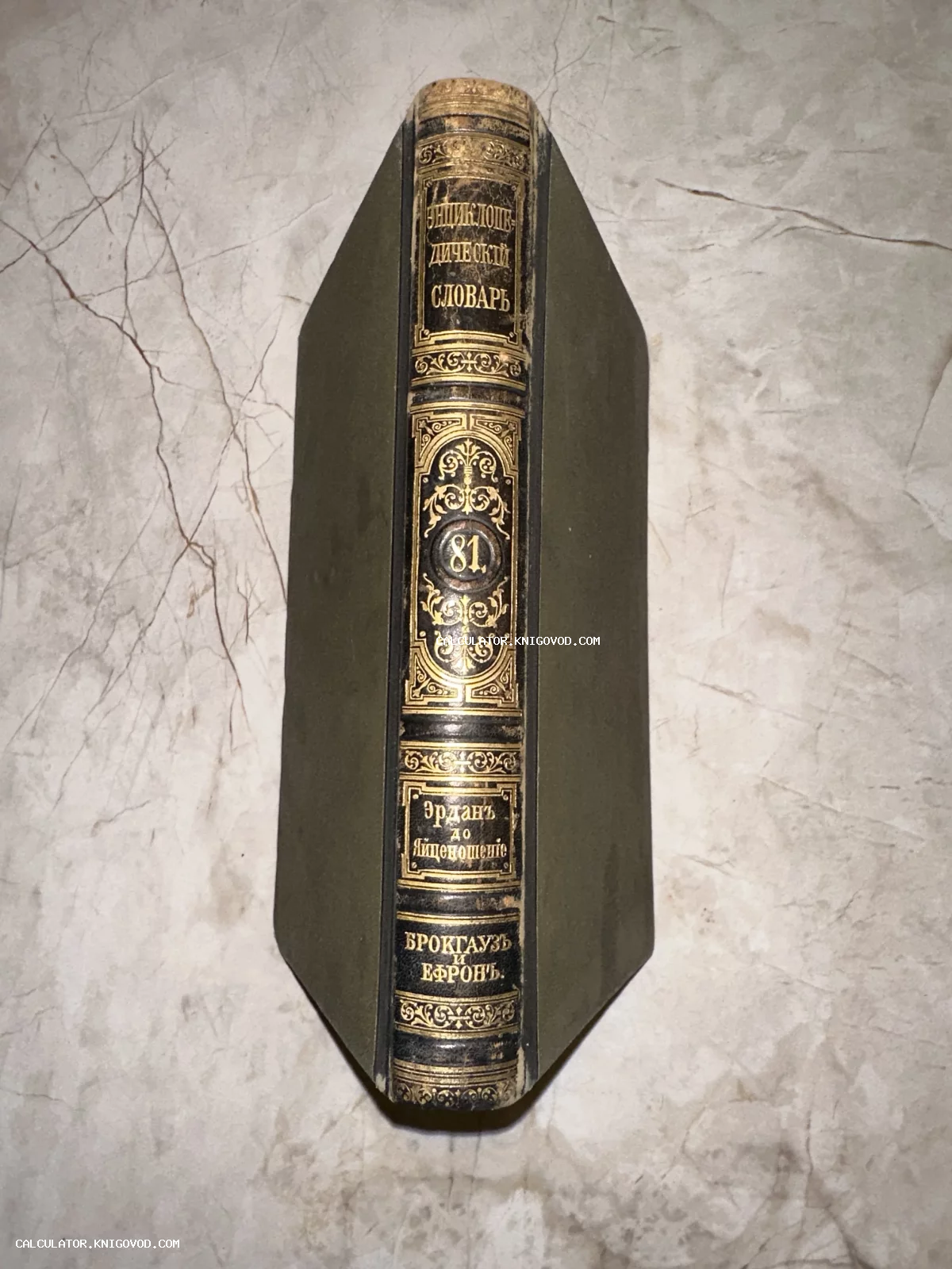 Корешок антикварной книги Энциклопедический словарь Брокгауза и Ефрона, том 81, с золотым тиснением на темной коже.