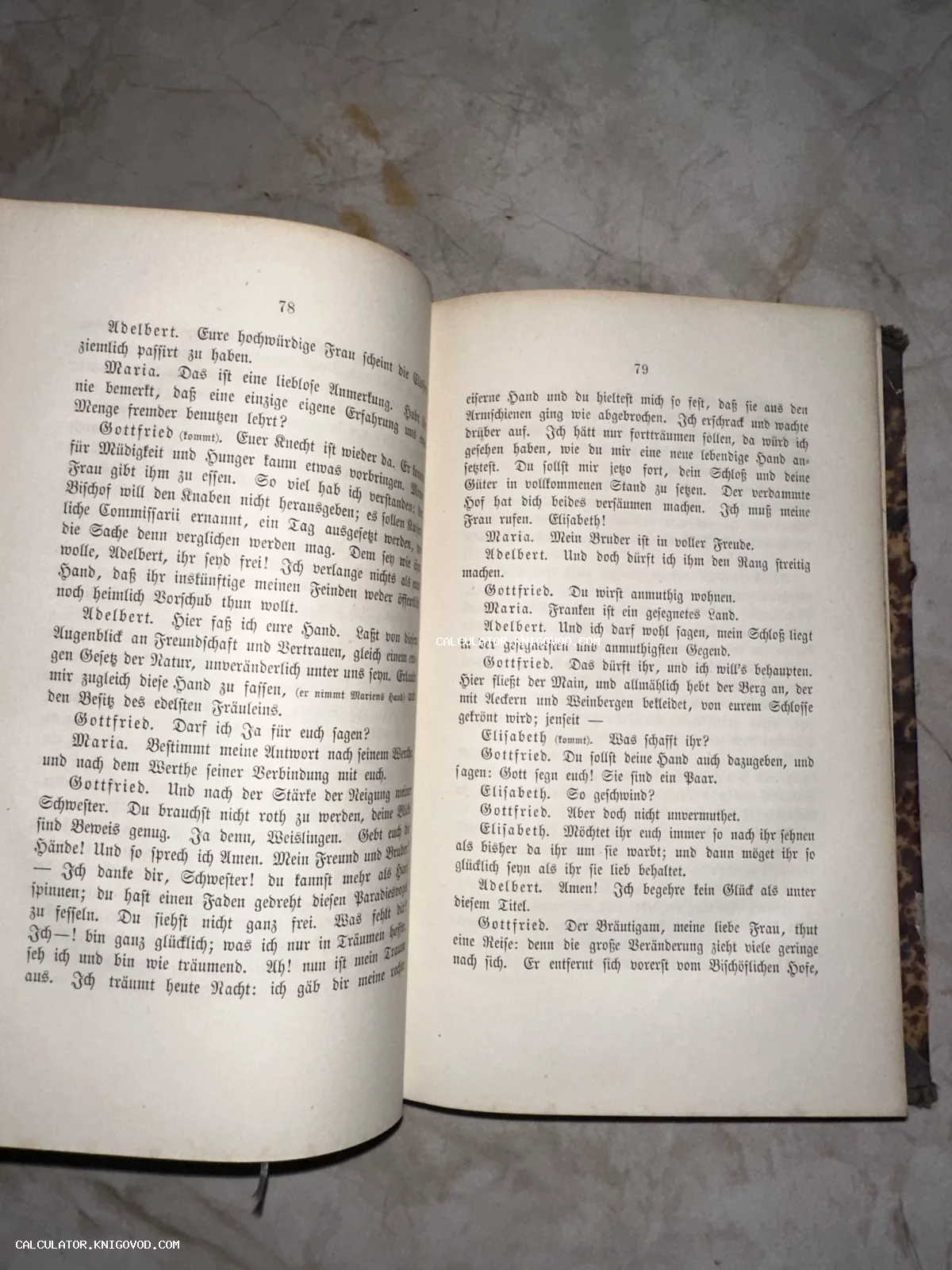 Разворот антикварной книги на немецком языке с текстом, напечатанным фрактурой (готическим шрифтом), страницы 78 и 79.