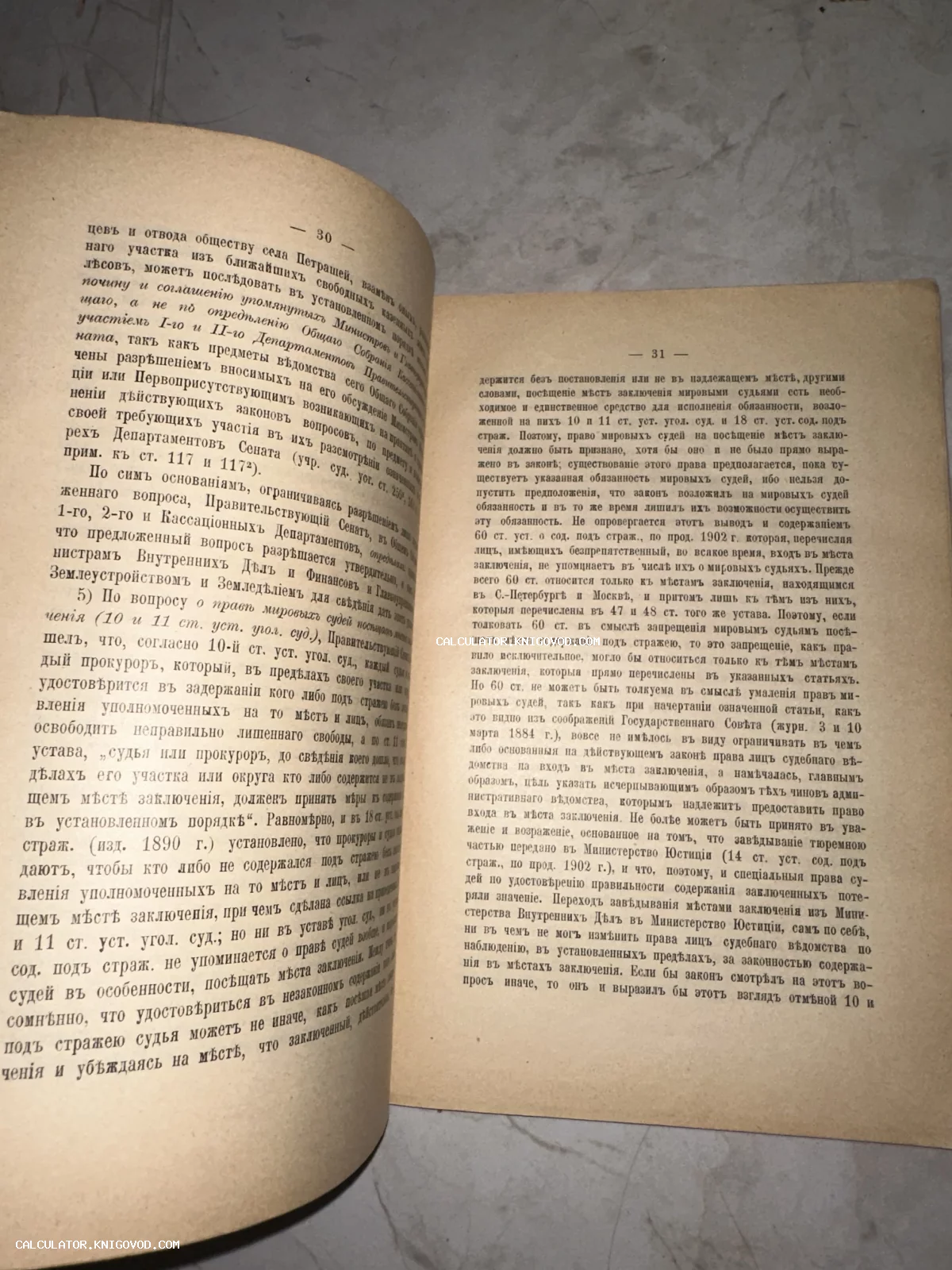 Фотография разворота открытой антикварной книги со страницами 30 и 31, напечатанными на дореволюционном русском языке.