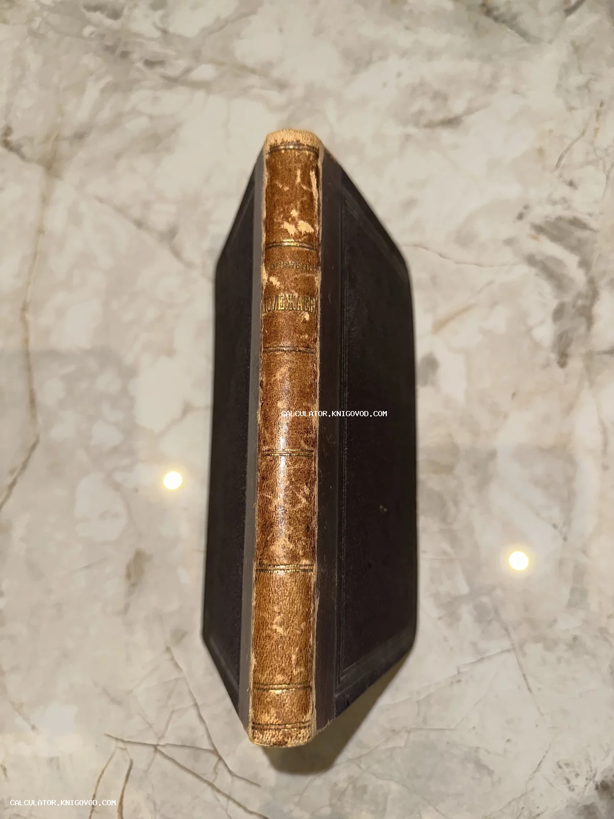 Корешок старинной книги с золотым тиснением фамилии автора Полежаев на мраморном фоне.