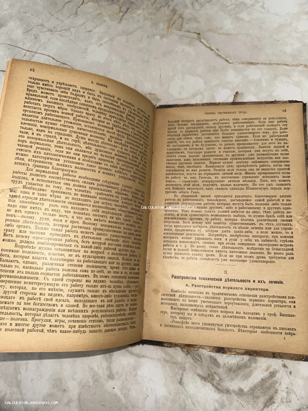 Разворот открытой антикварной книги с текстом на дореволюционном русском языке, главы о психическом здоровье.