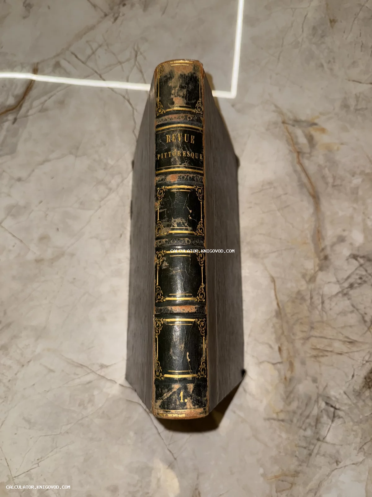 Корешок старинной книги Revue Pittoresque с золотым тиснением и декоративным орнаментом