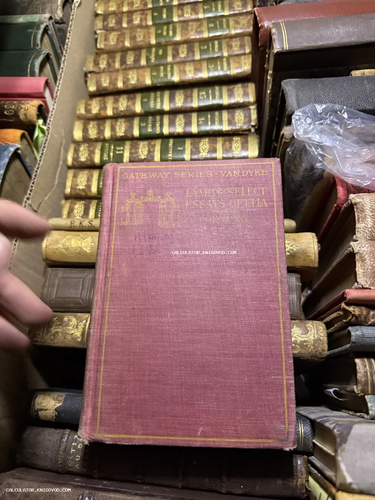 Старинная книга в розовом переплете «Lamb's Select Essays of Elia» среди других антикварных фолиантов с золотым тиснением.