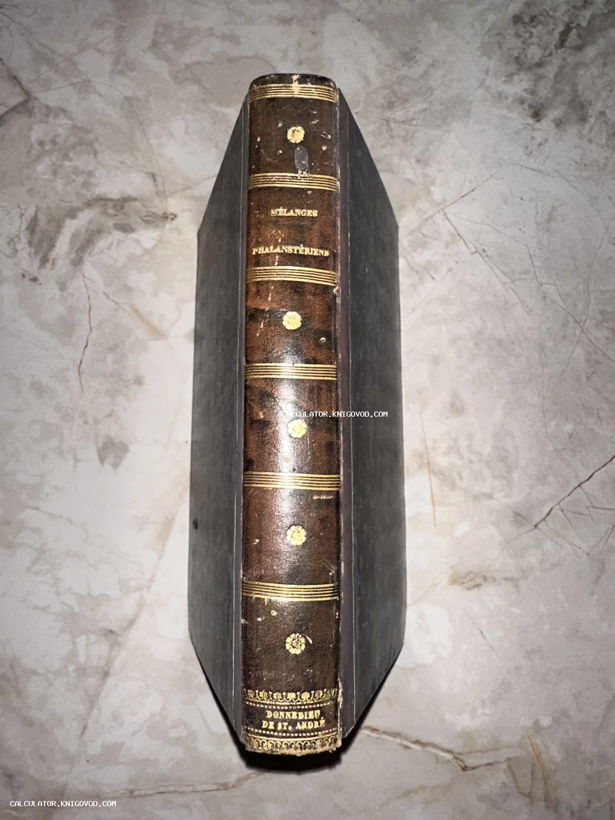 Корешок старинной книги в кожаном переплете с золотым тиснением и цветочными орнаментами на мраморном фоне.