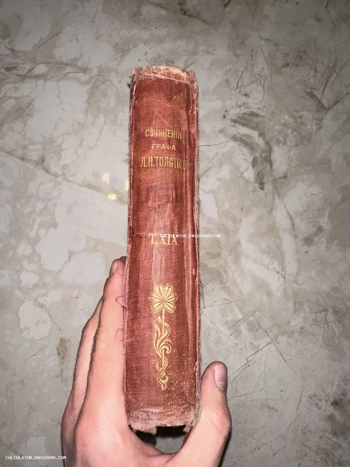 Корешок антикварной книги в красном коленкоровом переплете с золотым тиснением «Сочиненiя графа Л.Н. Толстого Т. XIX» и цветочным орнаментом.