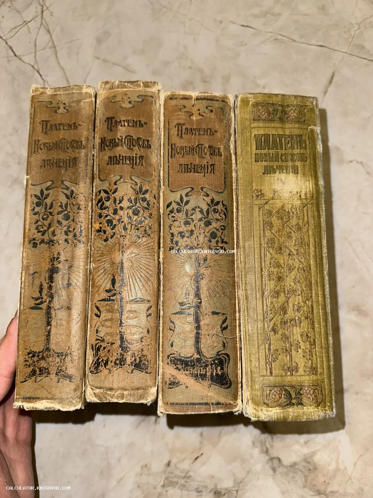 Четыре антикварных тома в тканевых переплетах с растительным орнаментом на корешках, автор Ф. Э. Платен.