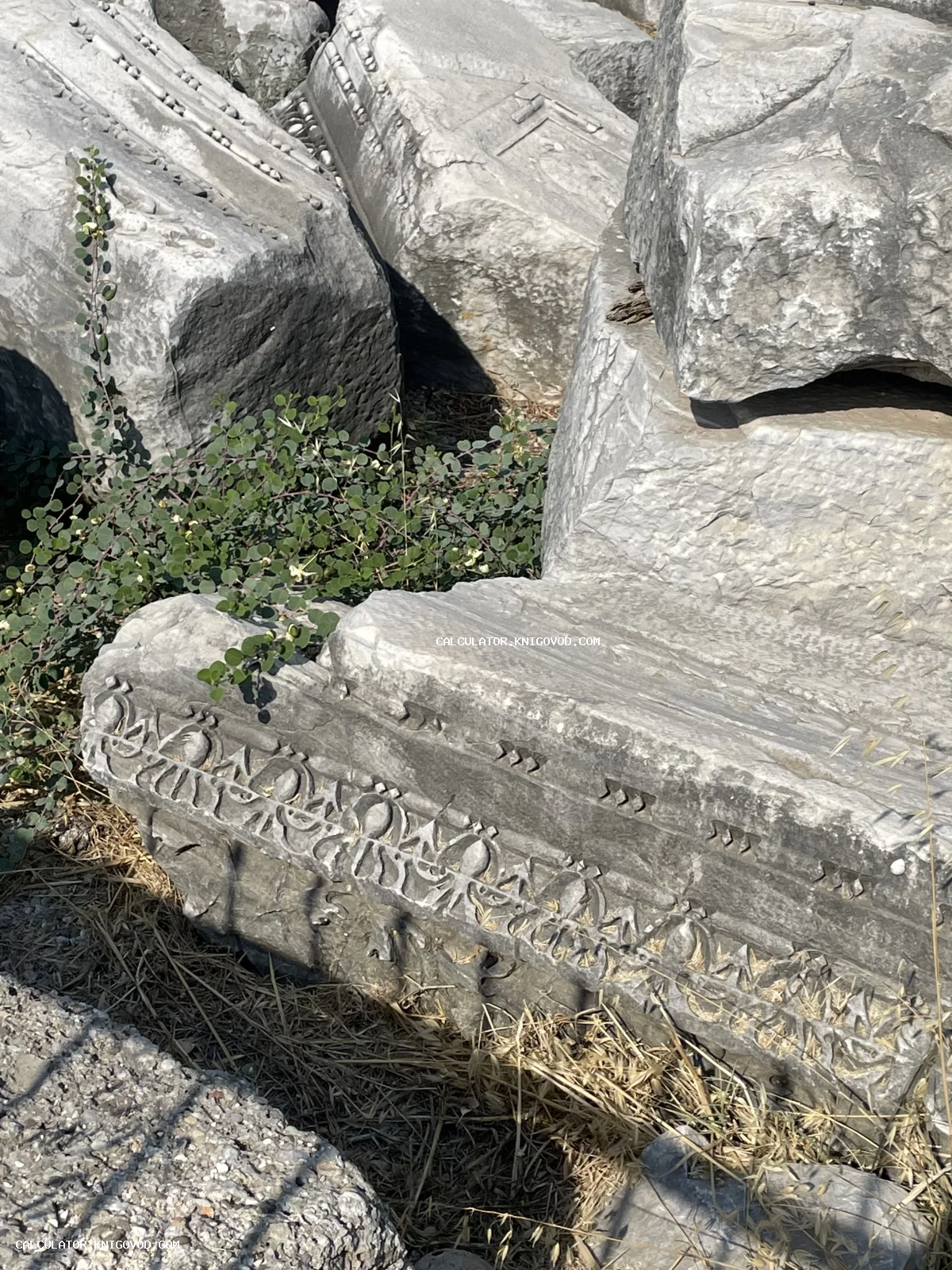 Массивные фрагменты античных колонн и фризов с резным орнаментом среди дикой растительности.