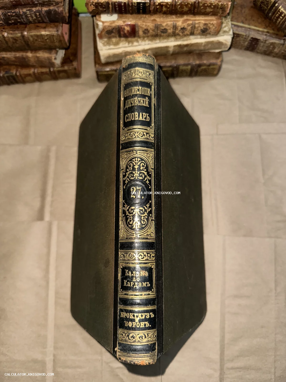 Корешок антикварной книги «Энциклопедический словарь Брокгауза и Ефрона», том 27, с богатым золотым тиснением на темной коже.