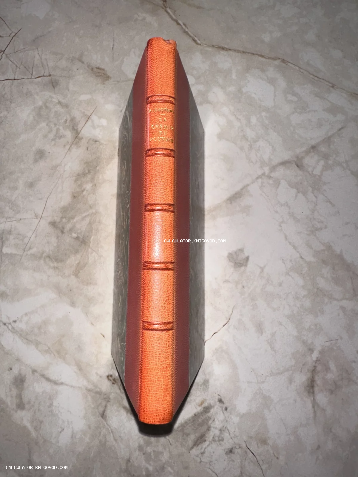 Корешок старинной книги из красной кожи с золотым тиснением и пятью бинтами на мраморном фоне.