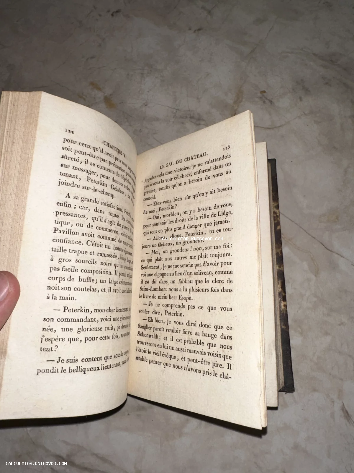 Разворот старинной книги на французском языке с пожелтевшими страницами и антикварным шрифтом.