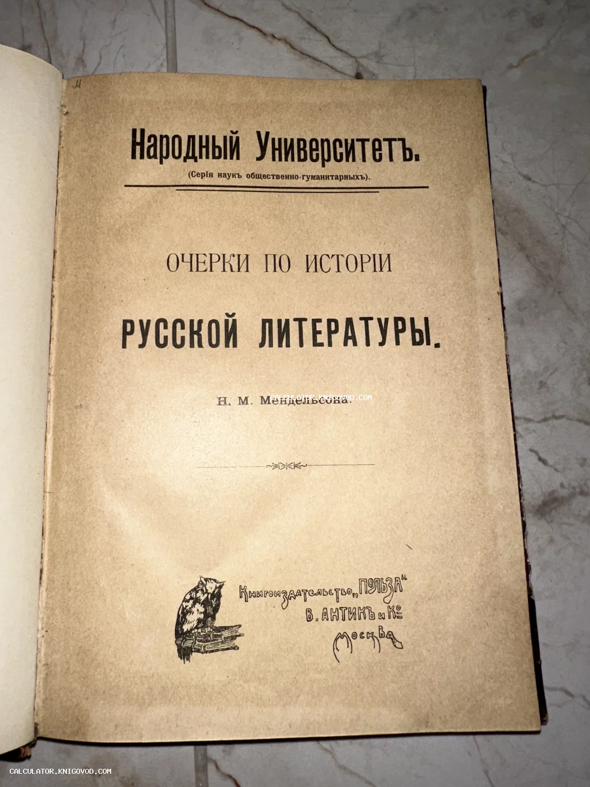 Титульный лист антикварной книги Н. М. Мендельсона «Очерки по истории русской литературы», дореволюционное издание издательства «Польза».