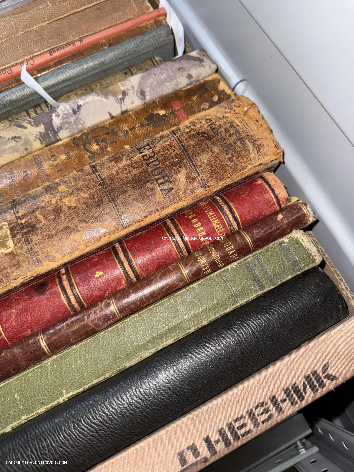 Корешки старинных книг в кожаных и тканевых переплетах, включая энциклопедический словарь и том с надписью Европа.