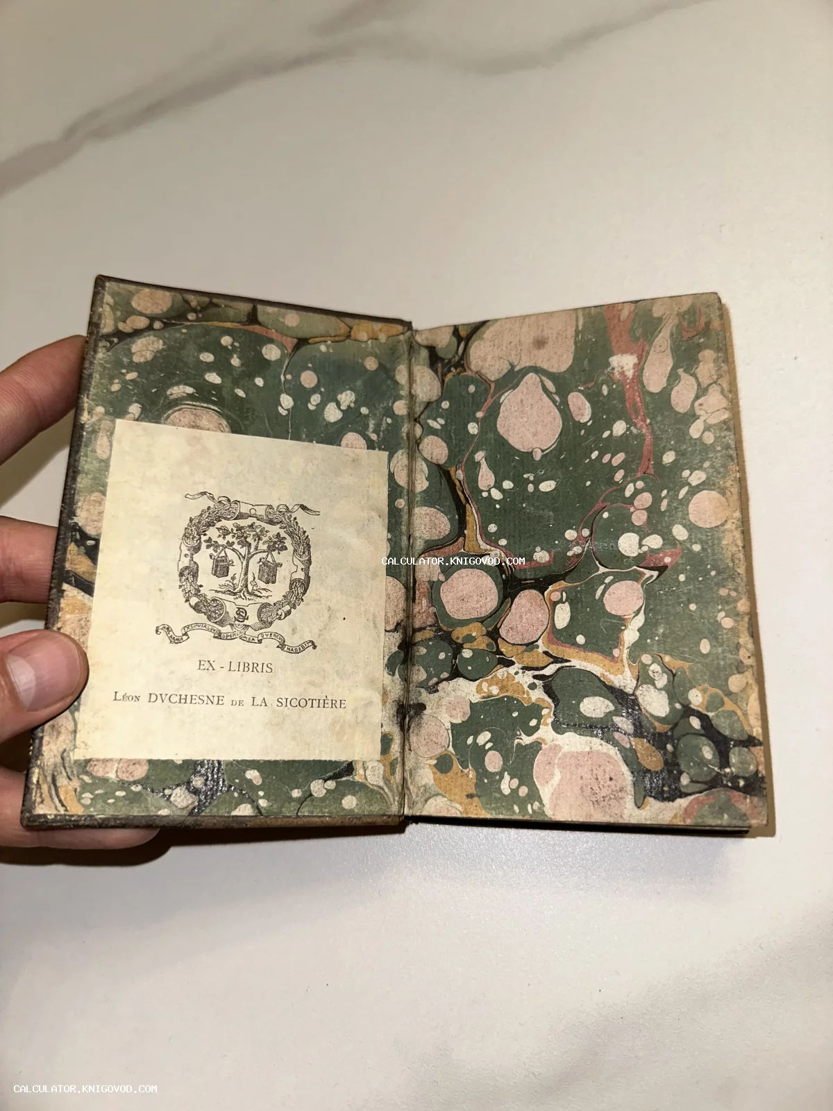 Разворот старинной книги с мраморной бумагой зеленого и розового оттенков и наклеенным экслибрисом Леона Дюшена де ла Сикотьера.