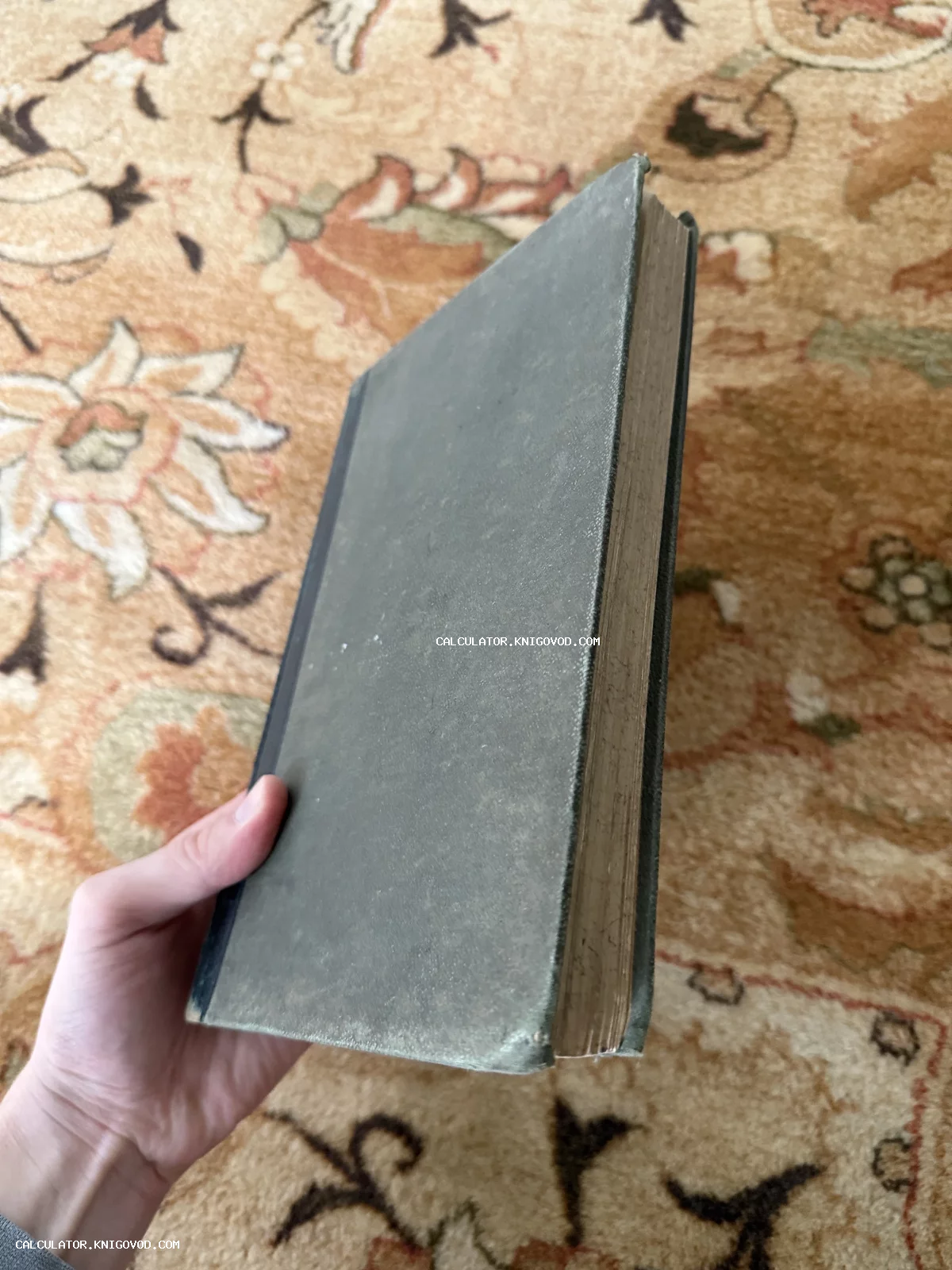 Рука держит антикварную книгу в серо-зеленом тканевом переплете с пожелтевшими от времени страницами.