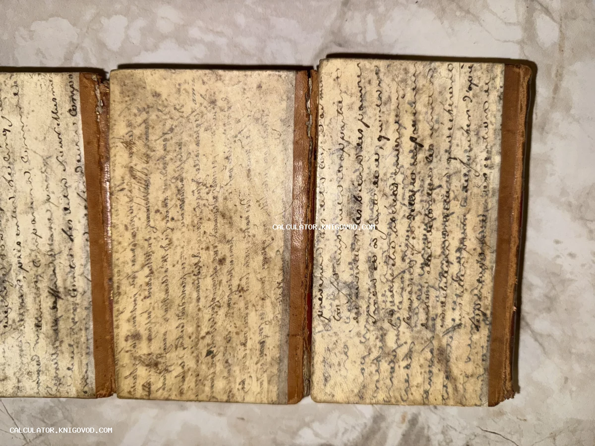 Три старинных тома малого формата с обложками, сплошь покрытыми каллиграфическим рукописным текстом, на мраморном фоне.