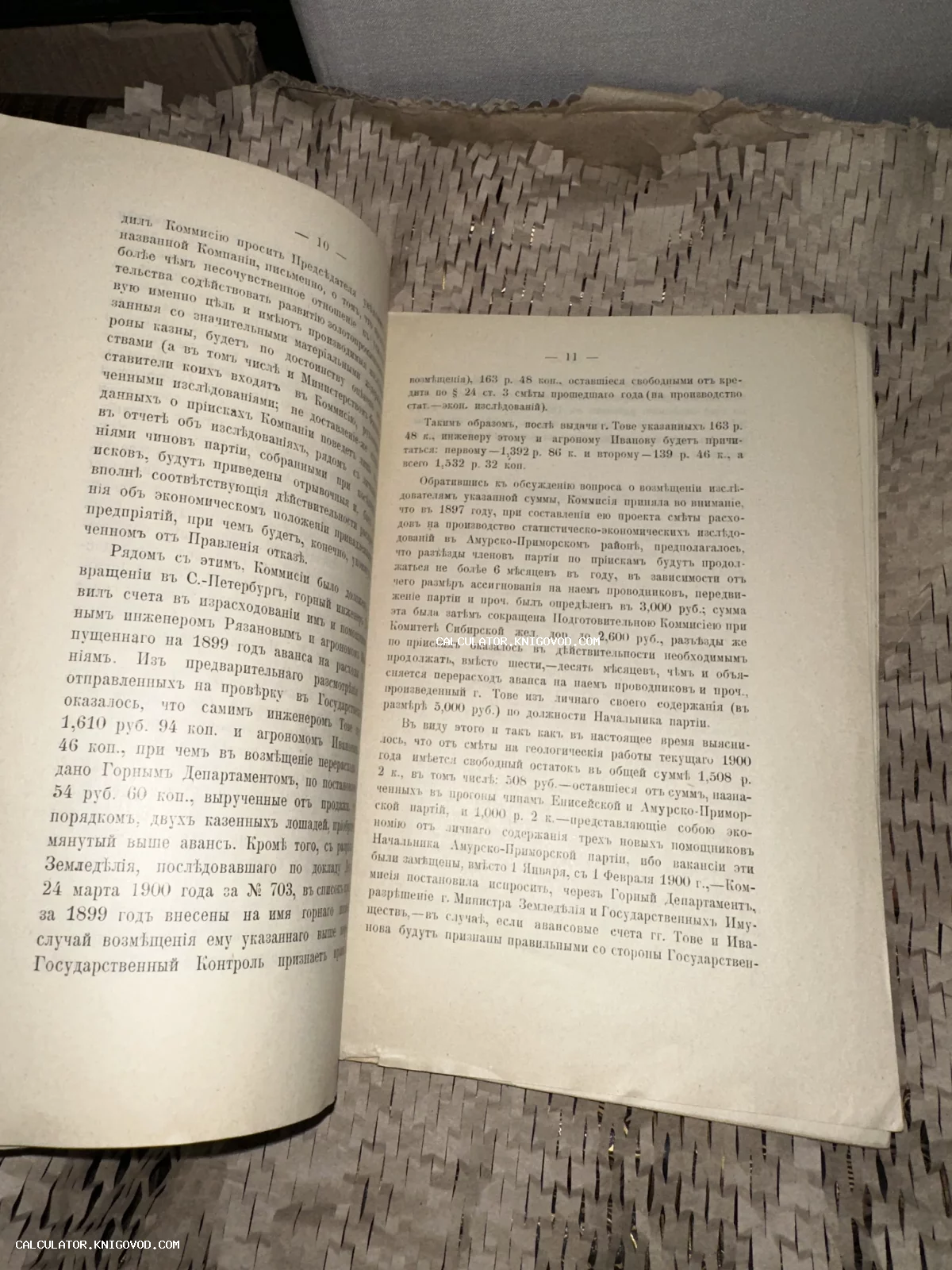 Разворот старинной книги с текстом на дореволюционном русском языке, страницы 10 и 11, посвященные горному делу и Амурской области.