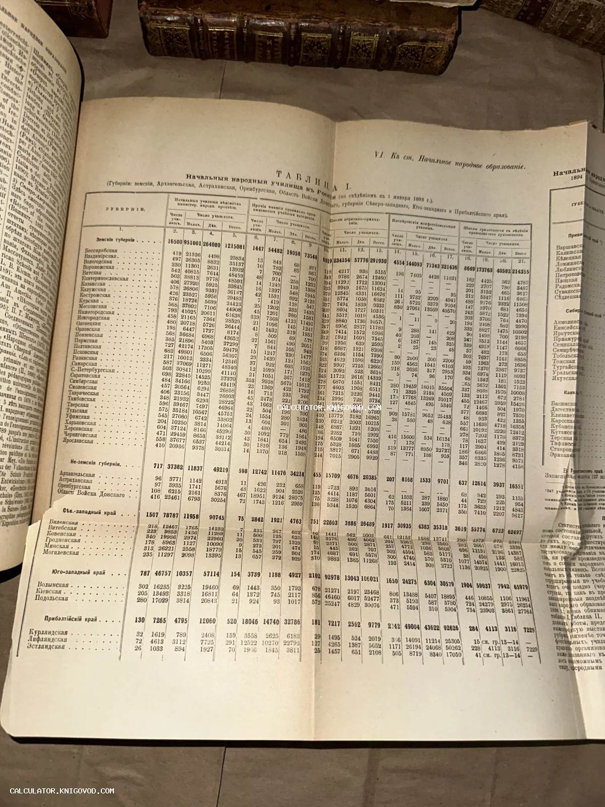 Разворот старинной книги с подробной статистической таблицей о начальных народных училищах в России по губерниям.