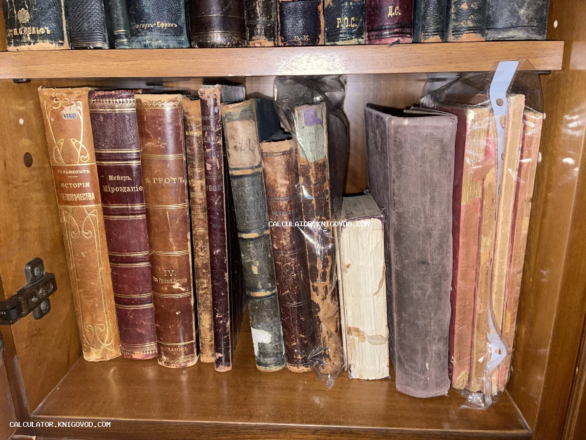 Старинные книги с золотым тиснением на корешках, включая тома Брокгауза и Ефрона, на деревянной полке.