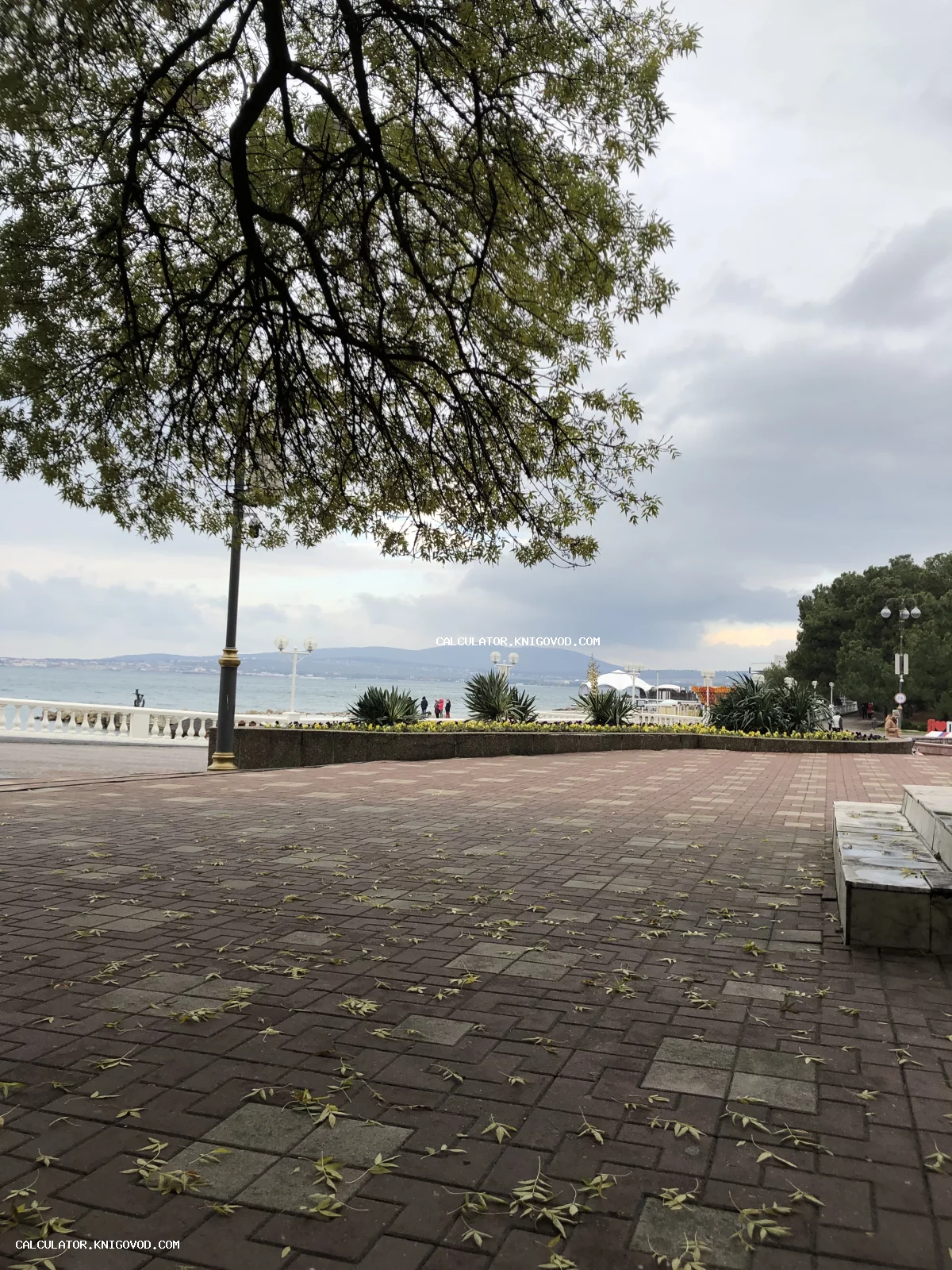 Вид на морскую набережную через ветви раскидистого дерева в пасмурный день, брусчатка с опавшими листьями на переднем плане и горы вдали.