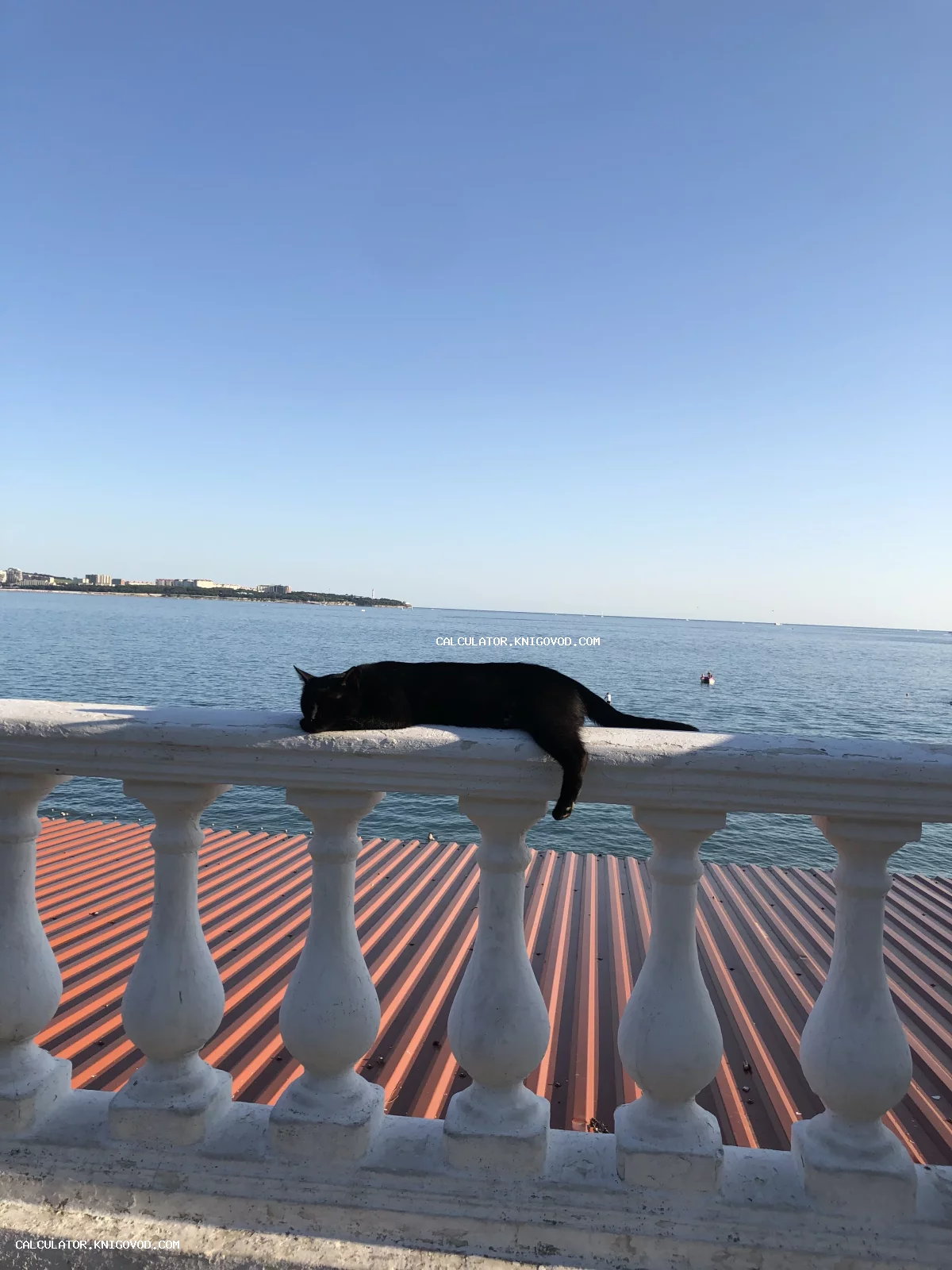 Черный кот спит на белой каменной балюстраде на фоне ярко-синего моря и ясного неба в солнечный день.