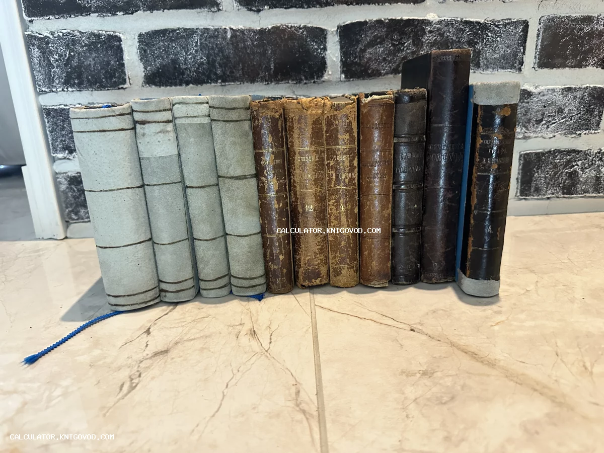 Ряд старинных книг в различных переплетах — от светлого полотна до темной кожи — на фоне кирпичной стены.