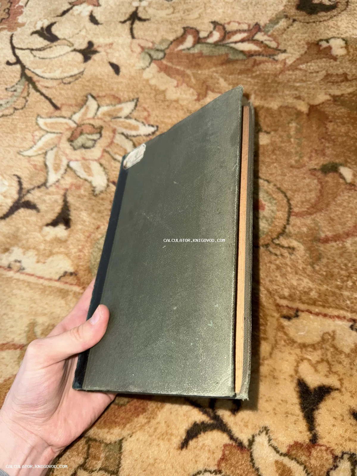 Старая книга с темно-зеленой текстурной обложкой и пожелтевшими страницами в руке на фоне ковра.