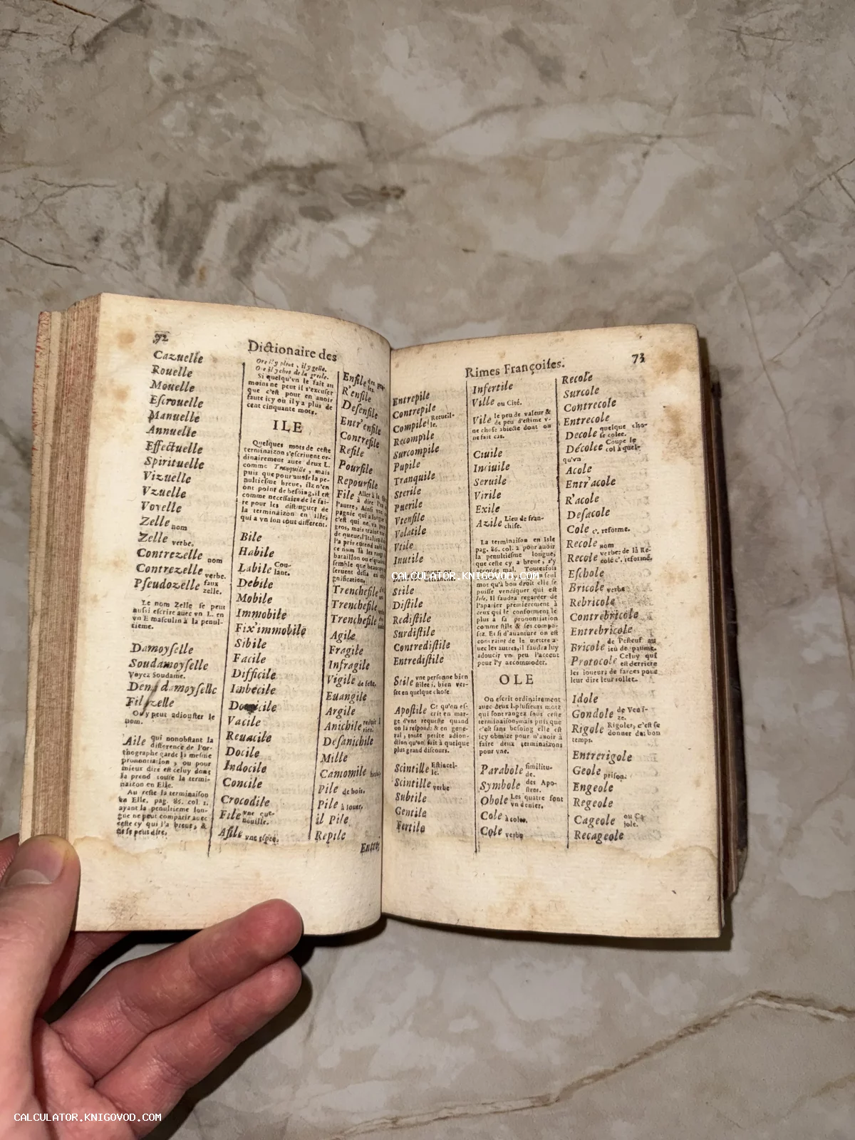 Разворот антикварной книги со списками слов на французском языке, озаглавленный Dictionaire des Rimes Françoises.