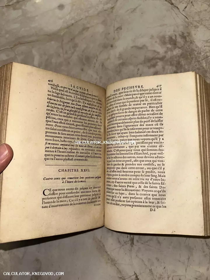 Открытый разворот антикварной книги на французском языке с пожелтевшими страницами и классической антикварной версткой.