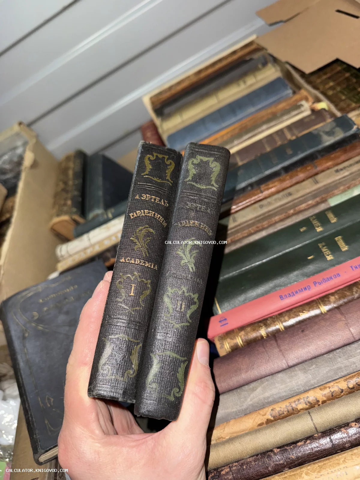 Два тома антикварного издания Александра Эртеля «Гарденины» в темных тканевых переплетах с золотым тиснением.