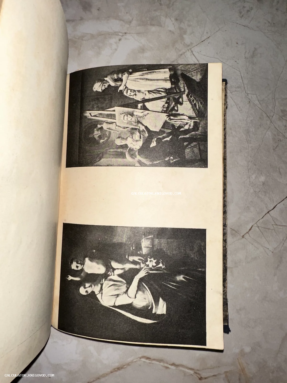 Разворот старой книги с двумя черно-белыми репродукциями картин на пожелтевшей бумаге.