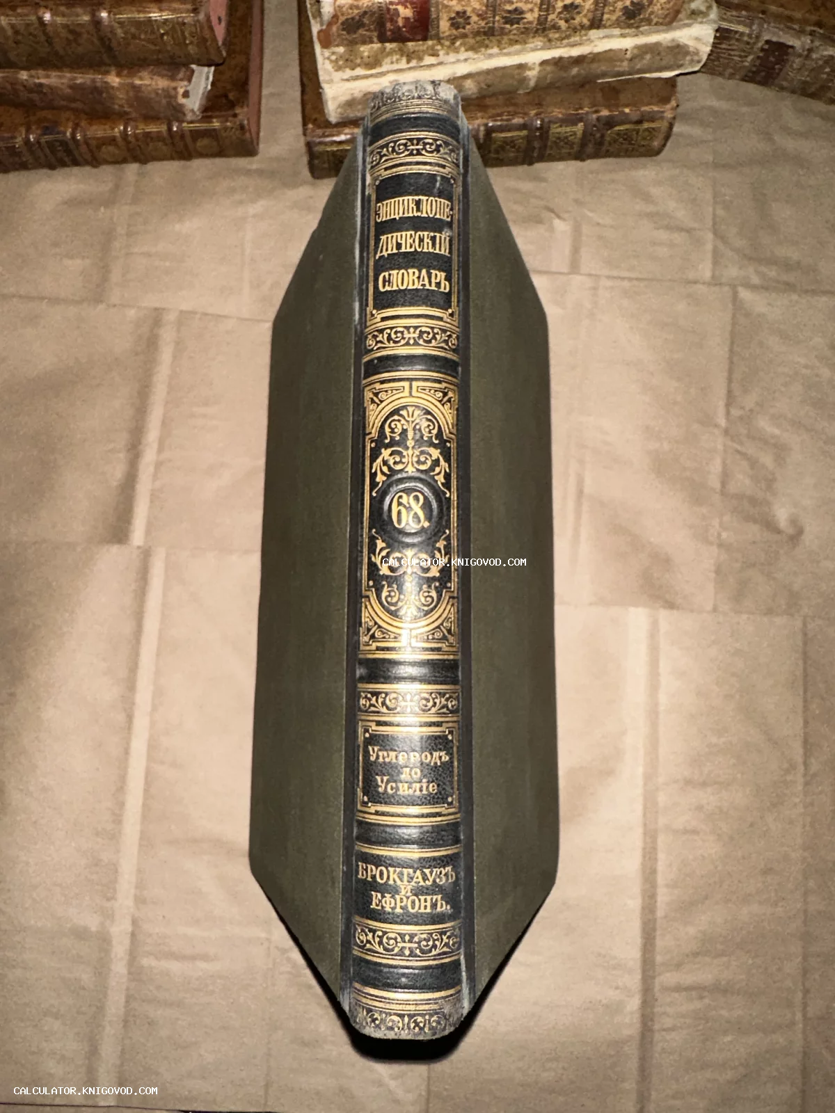Корешок старинной книги Энциклопедический словарь Брокгауза и Ефрона, том 68, с золотым тиснением на черной коже.