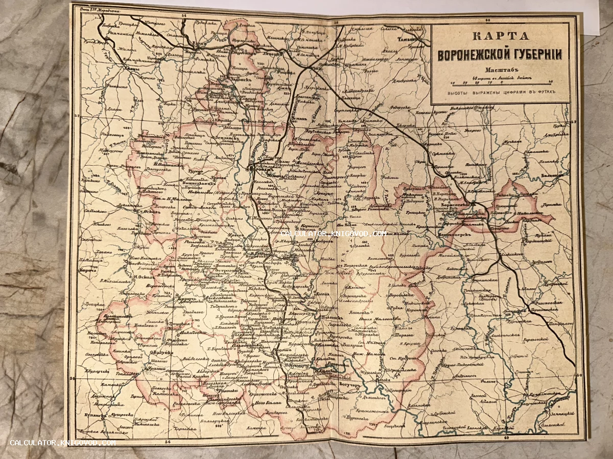 Топографическая карта Воронежской губернии конца XIX века с обозначением уездов, населенных пунктов и рельефа.
