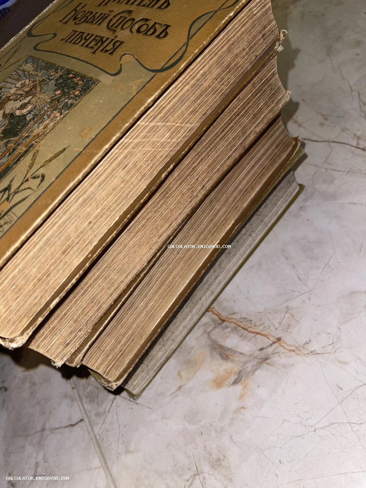 Стопка старинных книг в твердом переплете с тиснением и дореволюционным шрифтом на обложке.