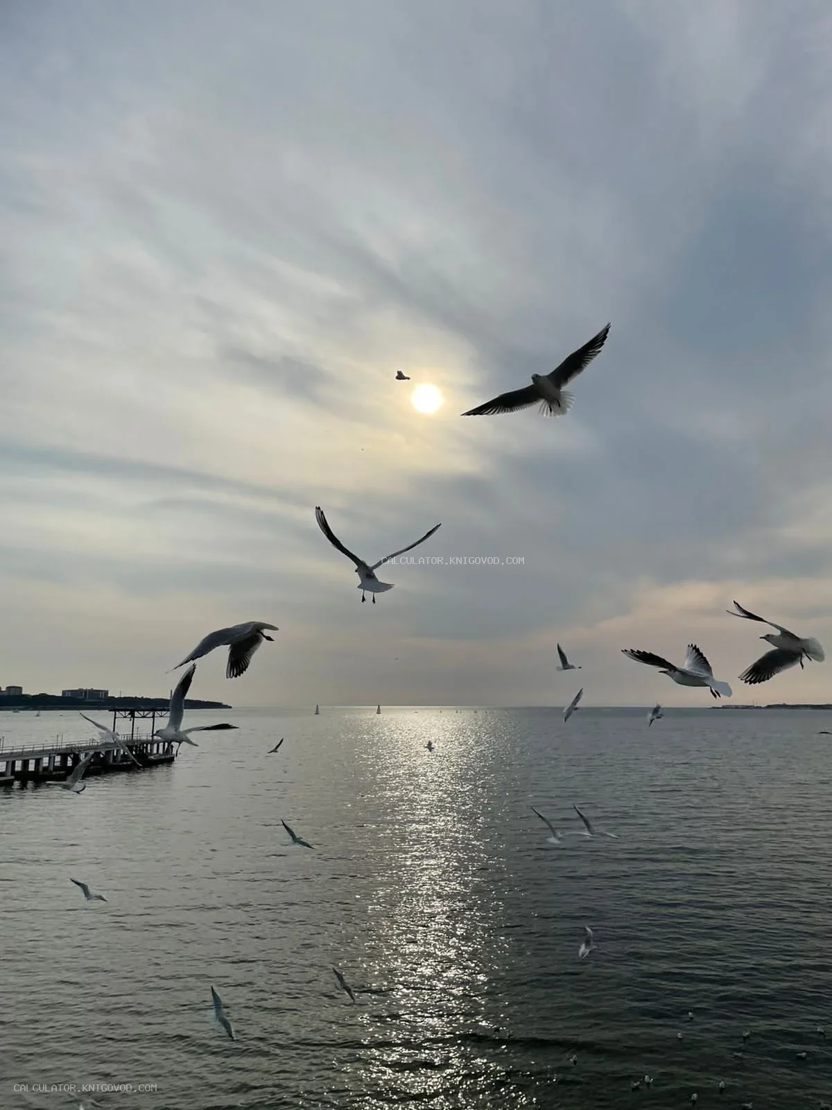 Стая чаек летит над спокойным морем на фоне заходящего солнца и деревянного пирса.