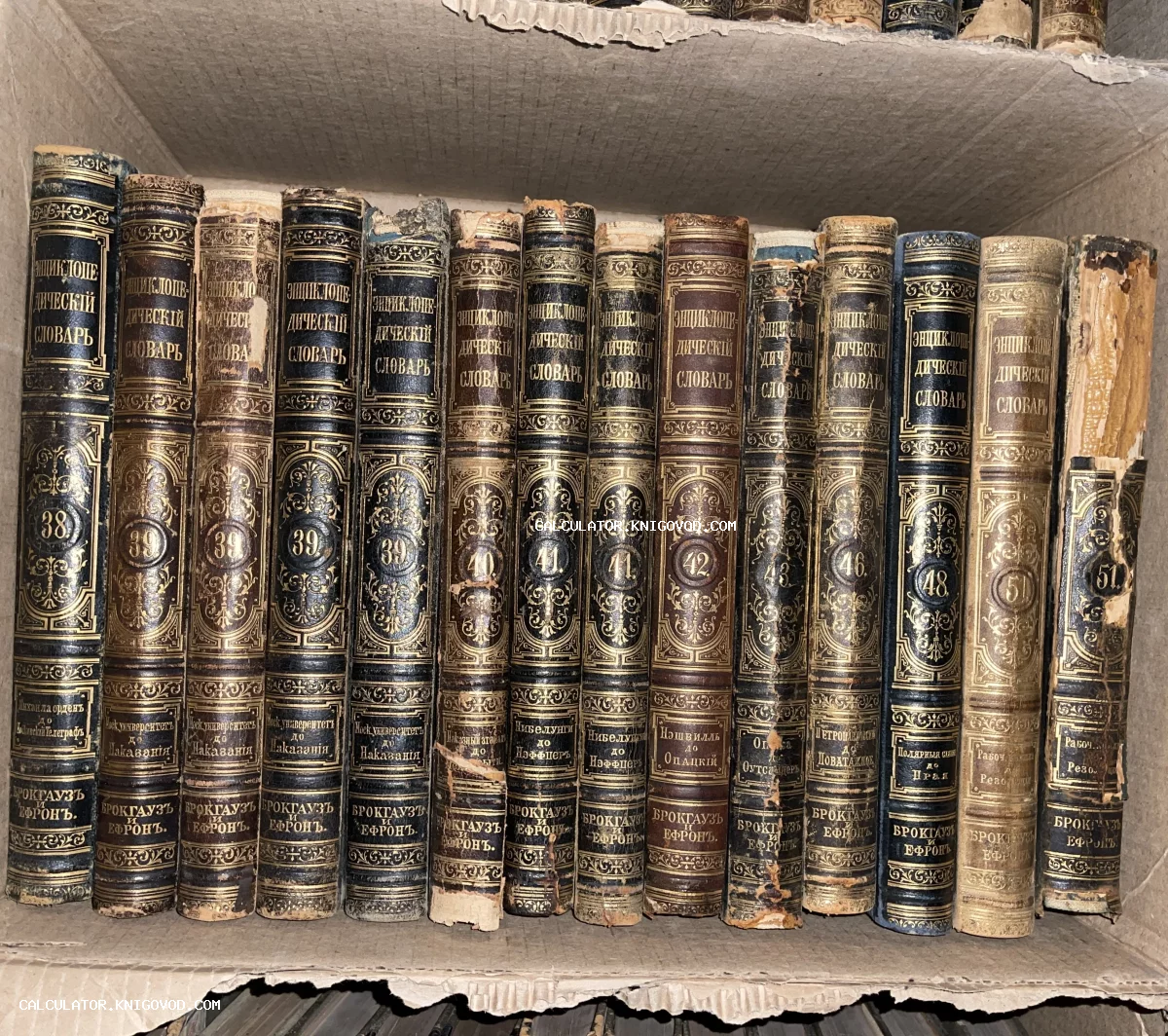 Ряд старинных книг с золотым тиснением на корешках, Энциклопедический словарь Брокгауза и Ефрона в оригинальных переплетах.