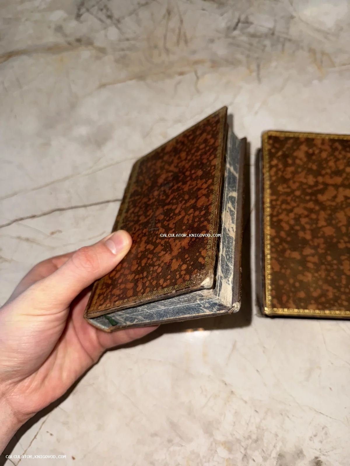 Старинная малоформатная книга в пятнистом кожаном переплете с золотым тиснением и мраморным обрезом.