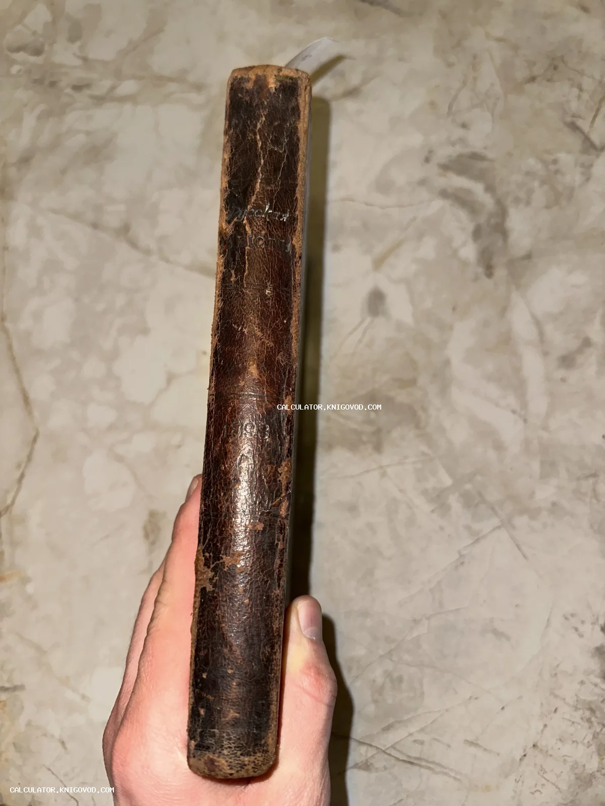 Крупный план корешка старинной книги в потертом темно-коричневом кожаном переплете с тиснением «Русская мысль» и датой 1893.