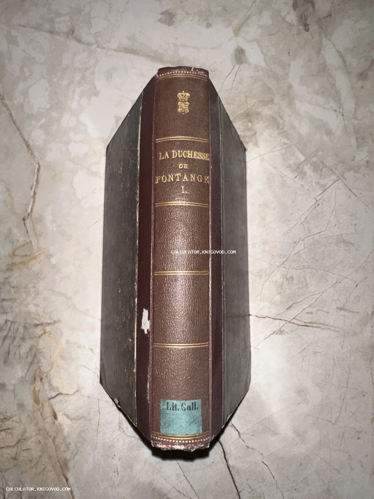 Корешок старинной книги в коричневом кожаном переплете с золотым тиснением названия La Duchesse de Fontange.