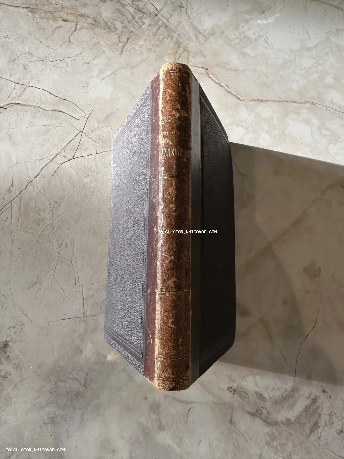 Вид сверху на корешок старинной книги в кожаном переплете с золотым тиснением на мраморной поверхности.